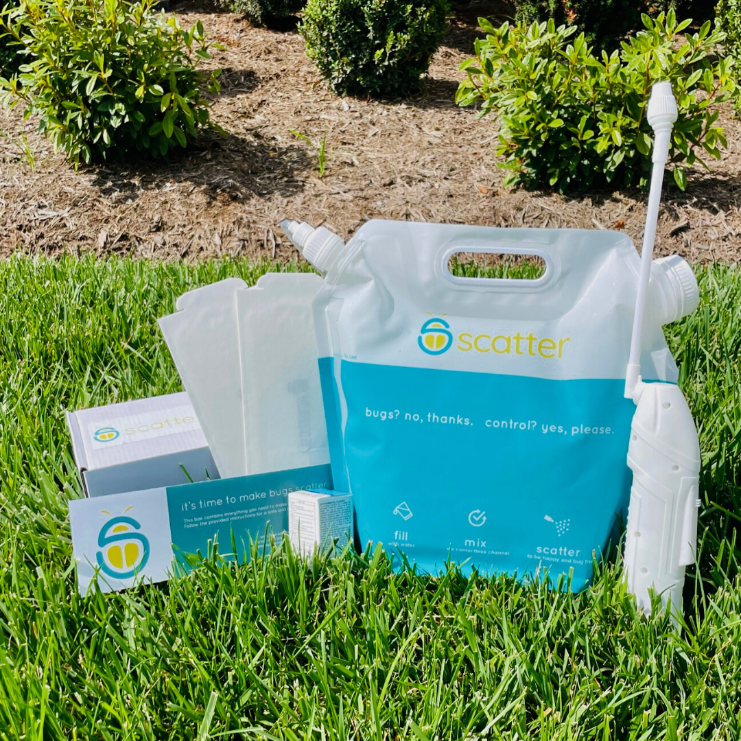 Why You Still Need Bug Control in Cold Weather — Even in Northern Climates