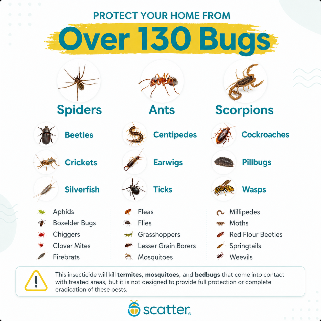 The Scatter Kit