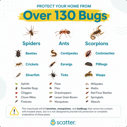 The Scatter Kit